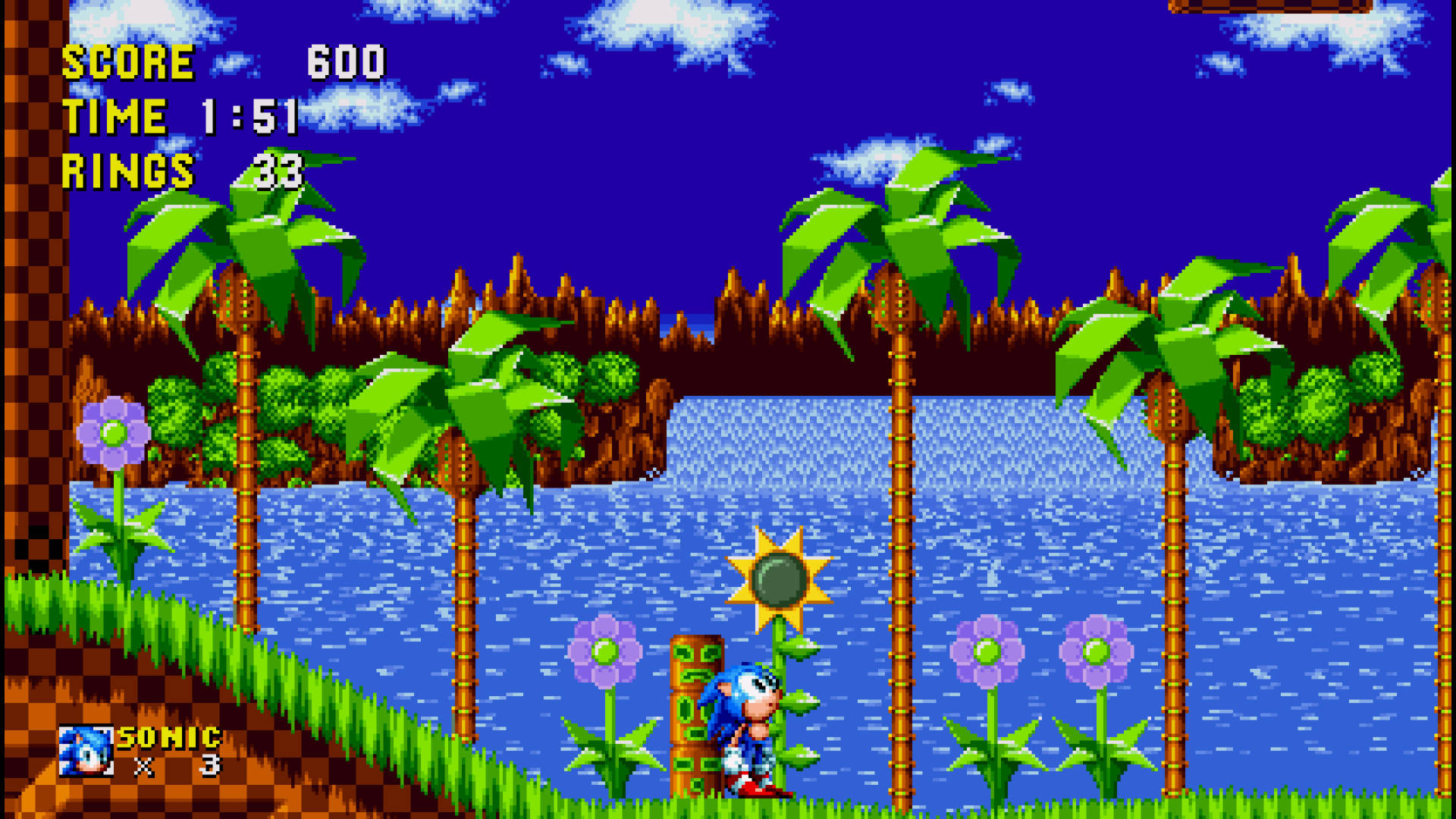 Sonic Looking At Green Hill Zone Flower Wallpaper