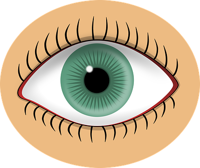 Green Human Eye Illustration PNG