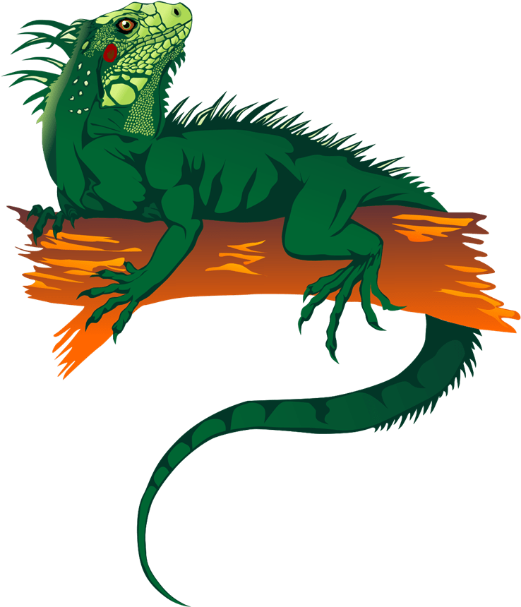 Green Iguana Illustration PNG