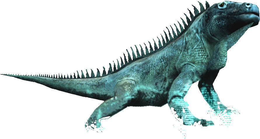Green Iguana Profile PNG