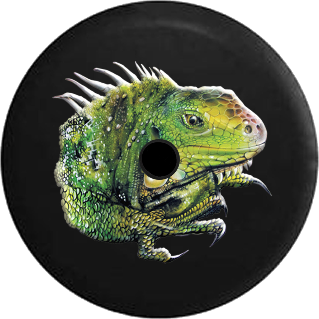Green Iguana Vinyl Record Art PNG