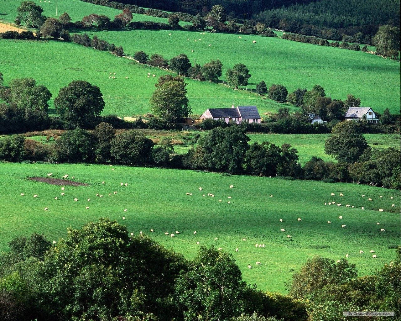 Green Irish Countryside Ireland