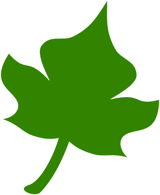 Green Ivy Leaf Graphic PNG