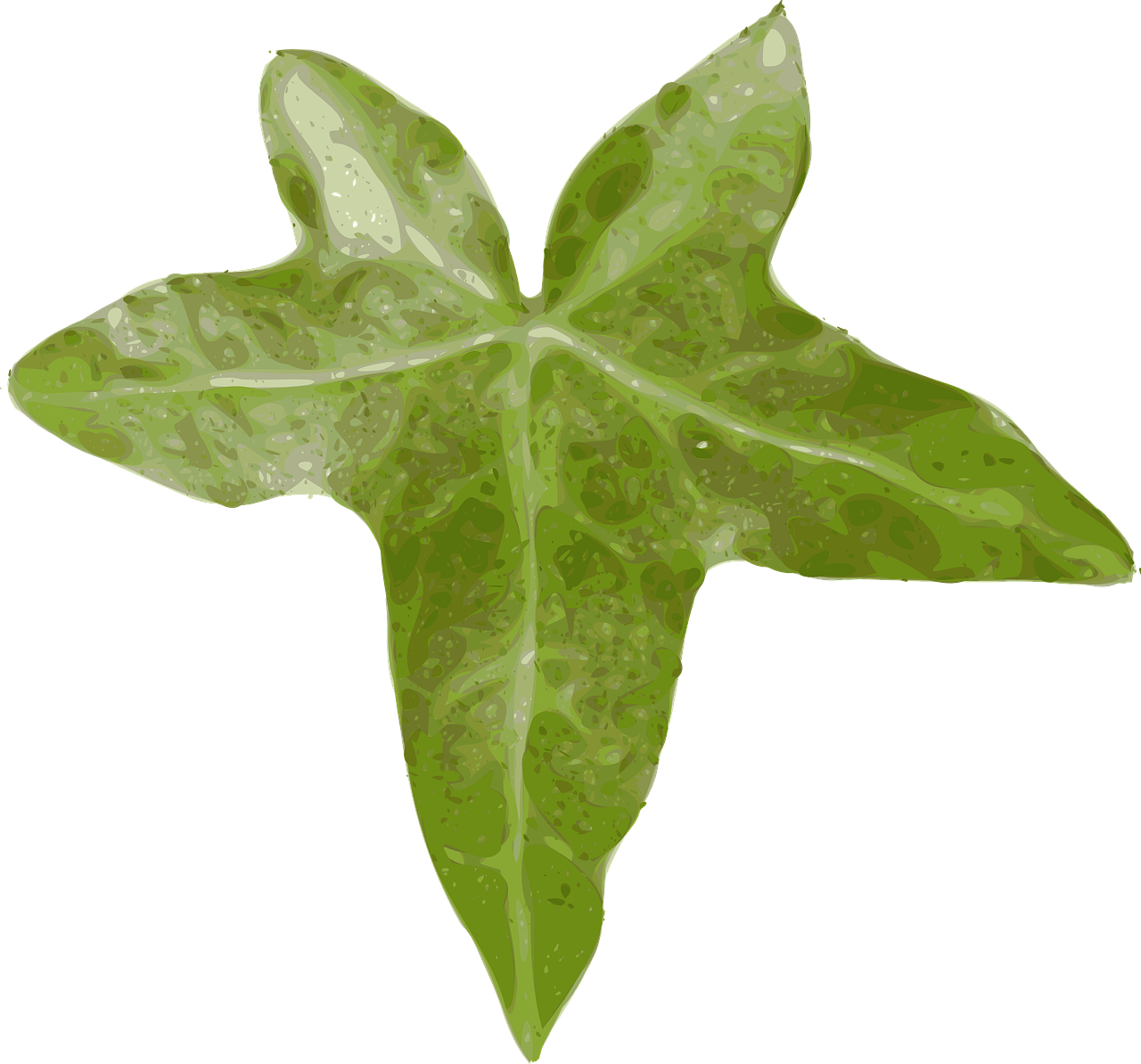 Green Ivy Leaf Illustration PNG