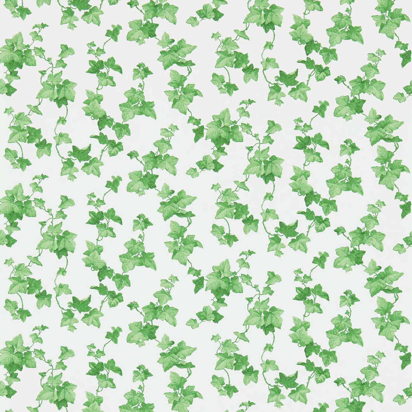 Green Ivy Pattern Background Wallpaper