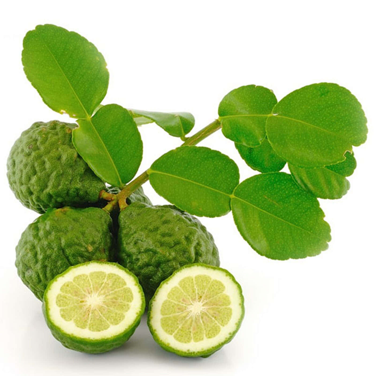 Limónkaffir Verde, Fruta Tropical. Fondo de pantalla