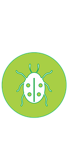 Green Ladybug Icon PNG