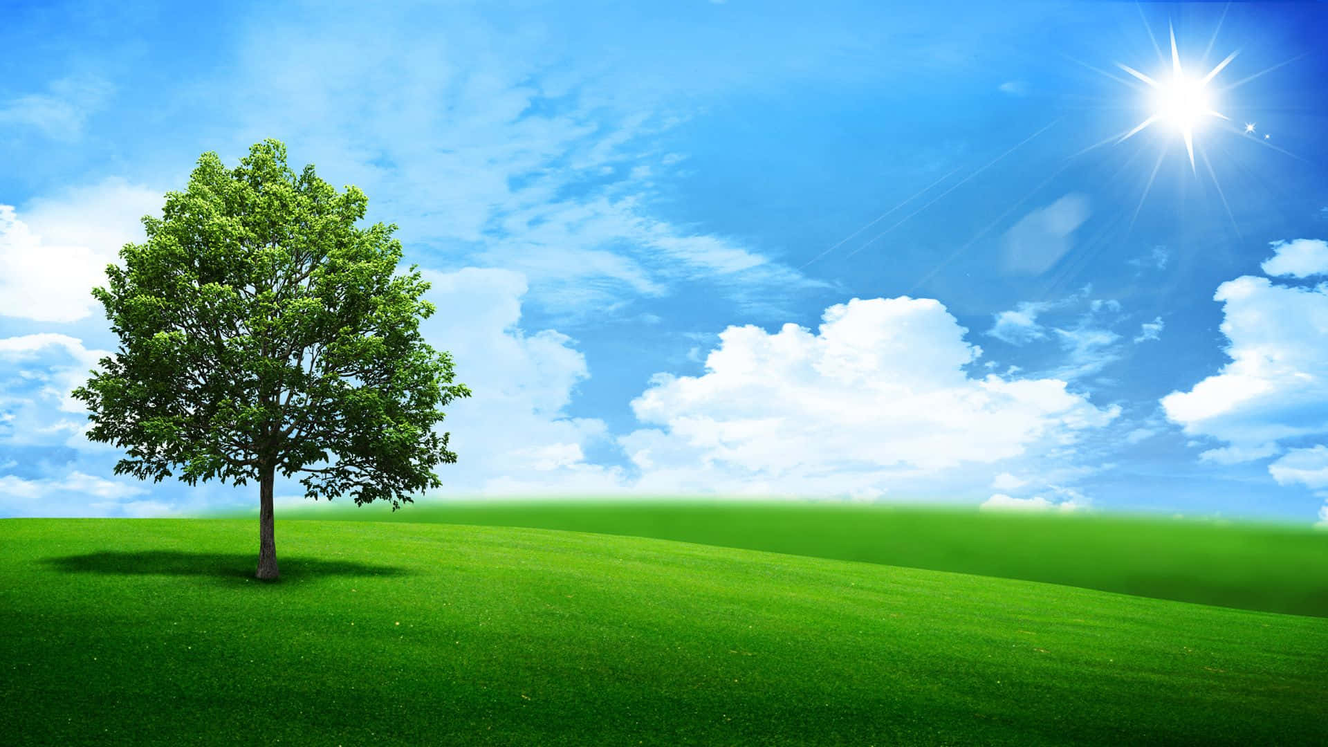 A Vibrant Green Landscape Basking in Nature's Beauty Wallpaper