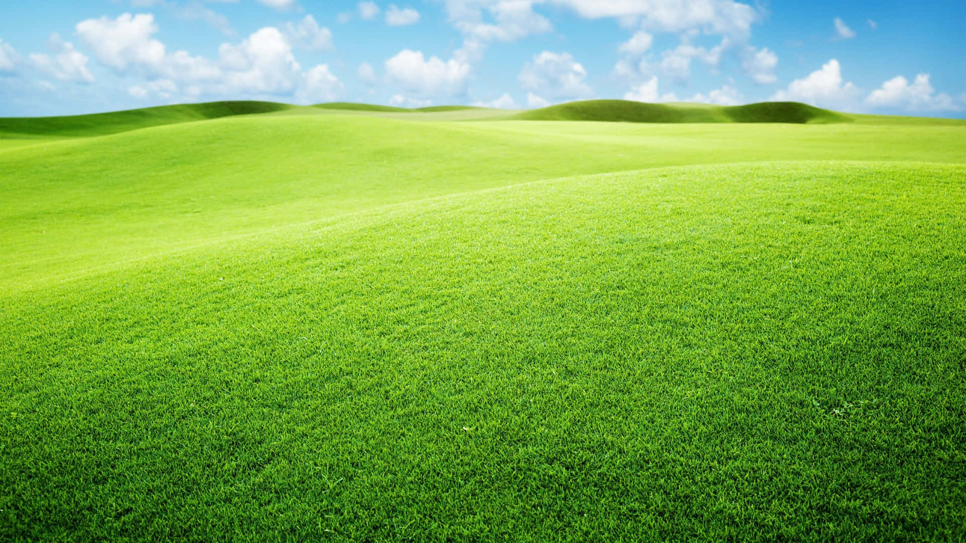 Breathtaking Green Landscape Wallpaper