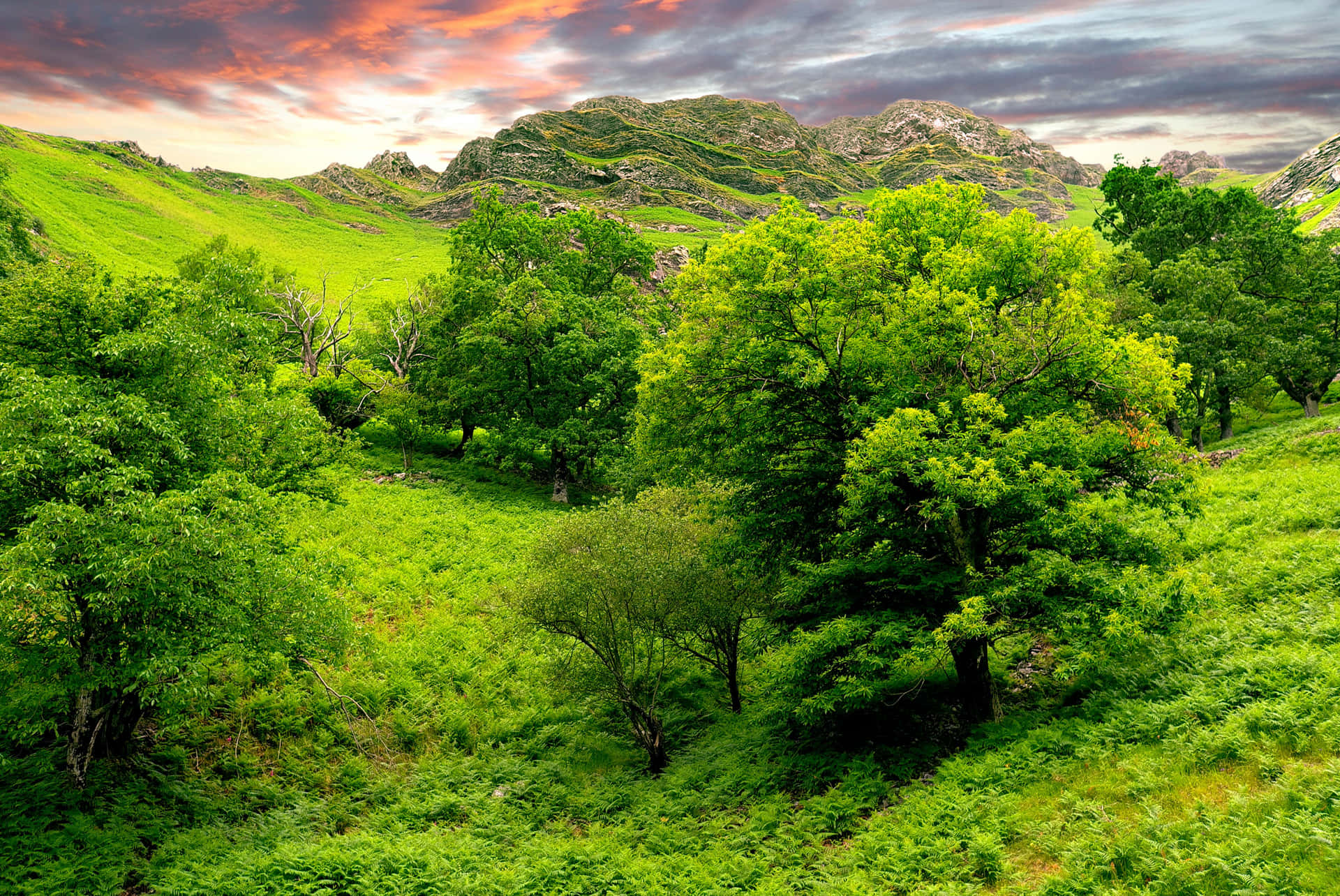 Lush Green Landscape with Stunning Mountains Wallpaper
