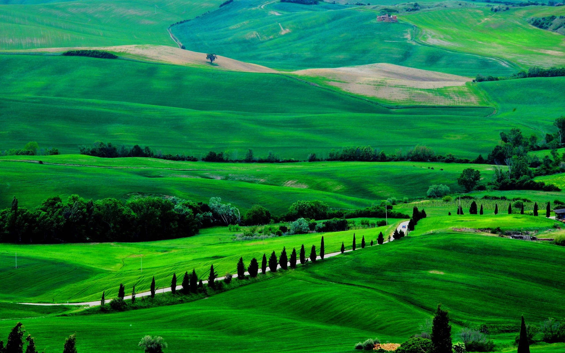 Green Landscape Of Tuscany Italy Wallpaper