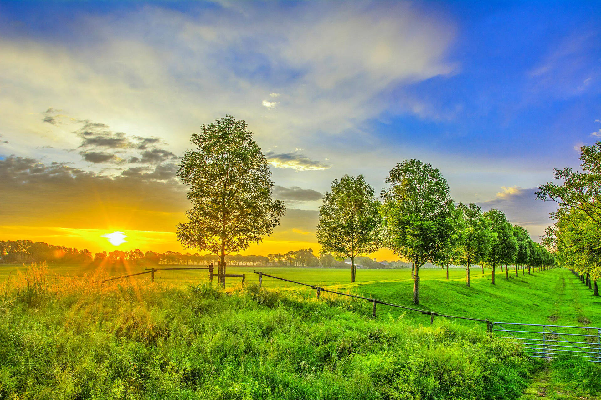Green Landscape Sunset Desktop Wallpaper