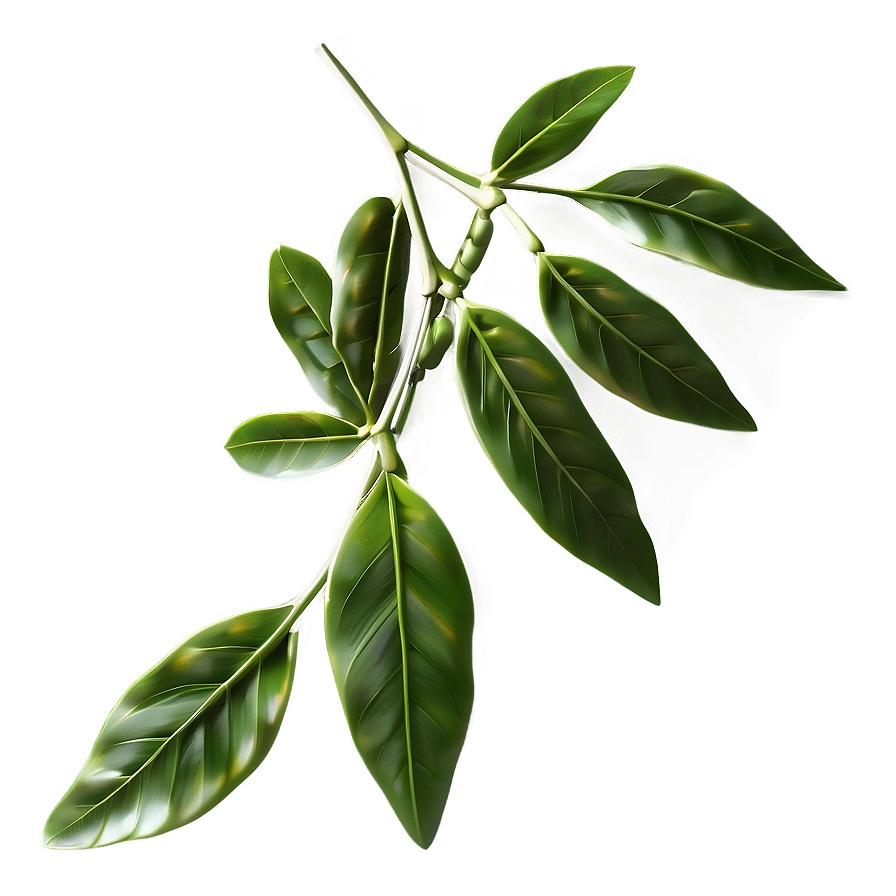 Green Laurel Leaves Png 06262024 PNG