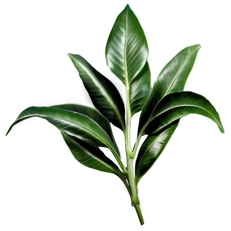Green Laurel Leaves Png 06262024 PNG