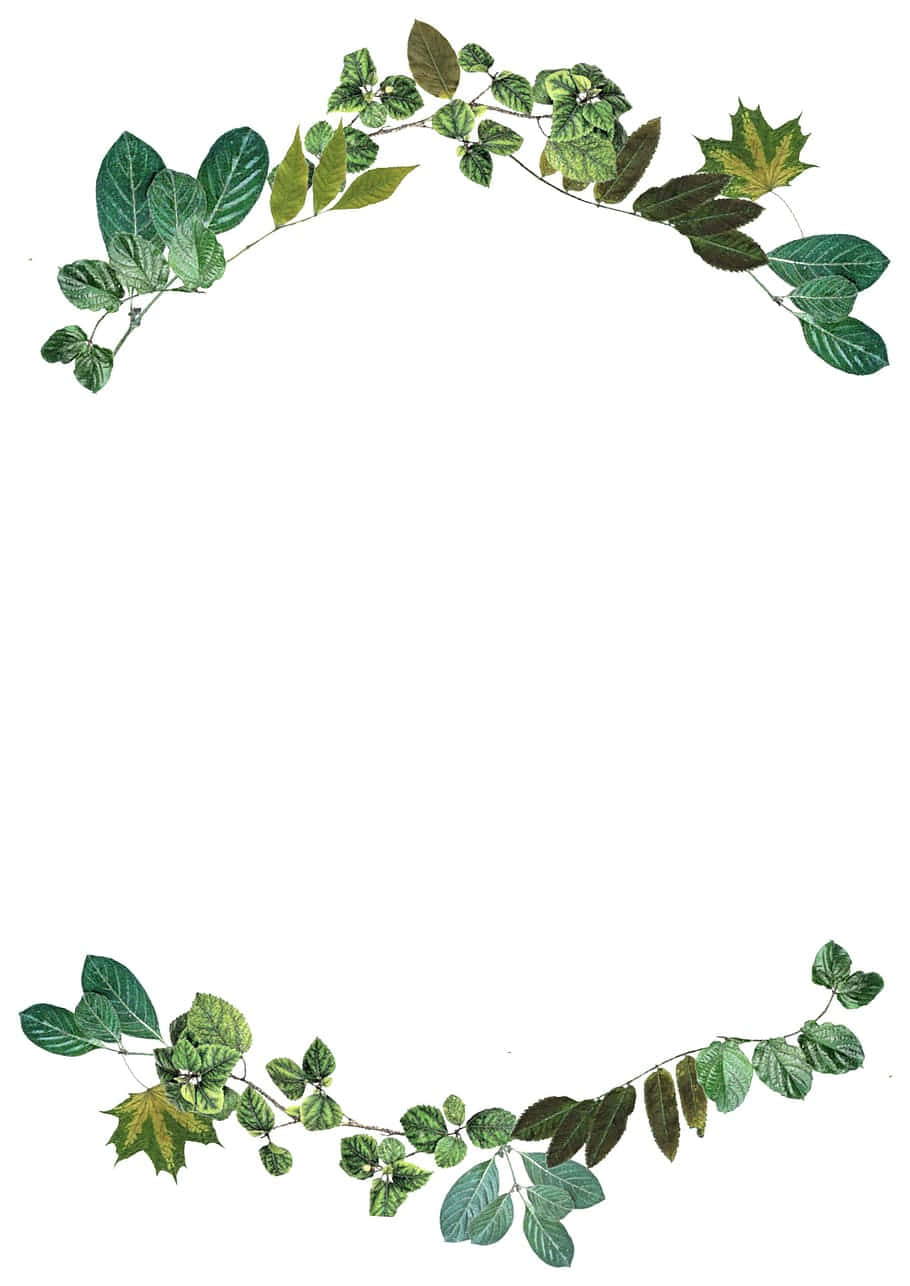 Green Leaf Arch Border Wallpaper