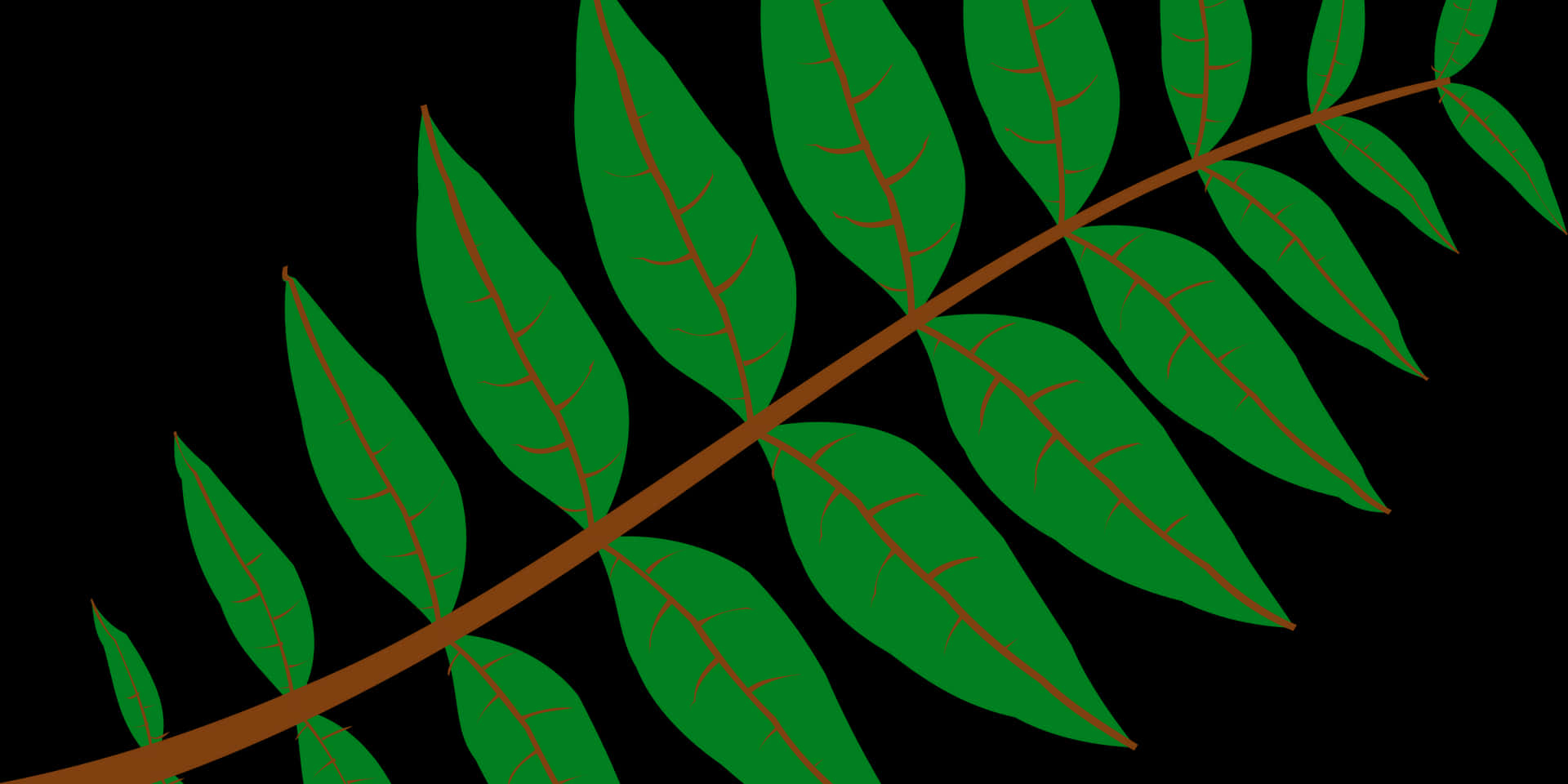 Green Leaf Branch Vector Illustration PNG
