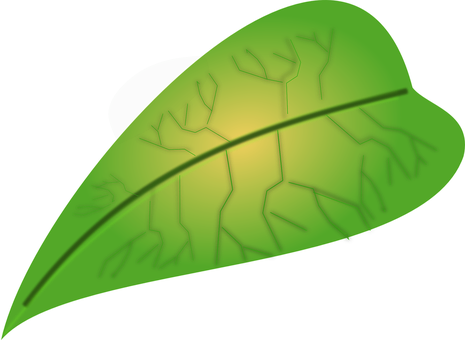 Green Leaf Digital Artwork PNG
