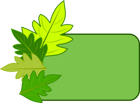 Green Leaf Frame Design PNG