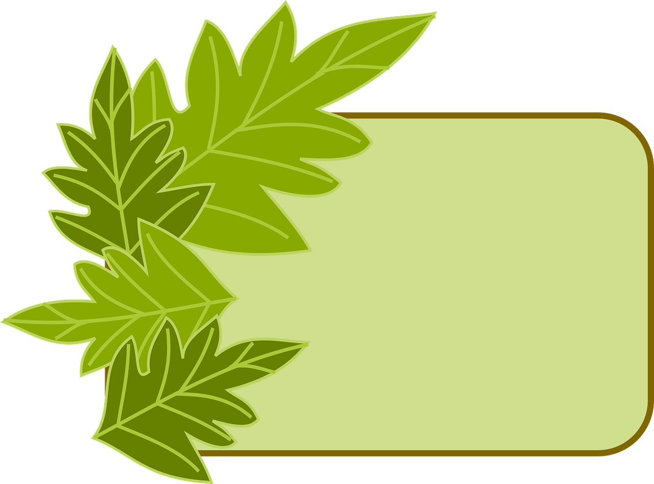 Green Leaf Frame Graphic PNG