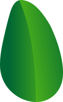 Green Leaf Graphic Design PNG