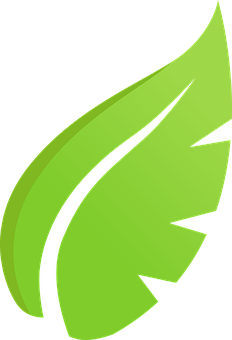 Green Leaf Graphic PNG