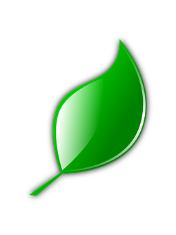 Green Leaf Graphicon Black Background PNG