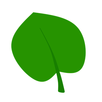 Green Leaf Graphicon Black Background PNG