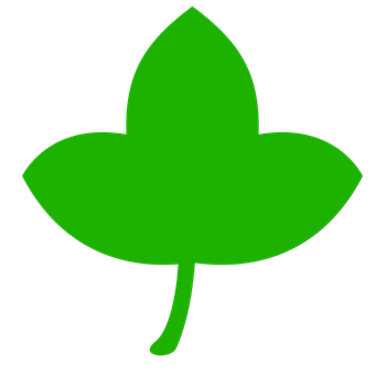 Green Leaf Icon PNG