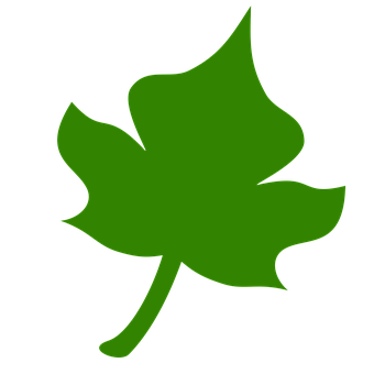 Download Green Leaf Icon | Wallpapers.com