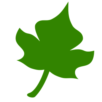 Green Leaf Icon PNG