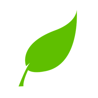 Green Leaf Iconon Black Background PNG