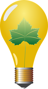 Green Leaf In Lightbulb Illustration PNG