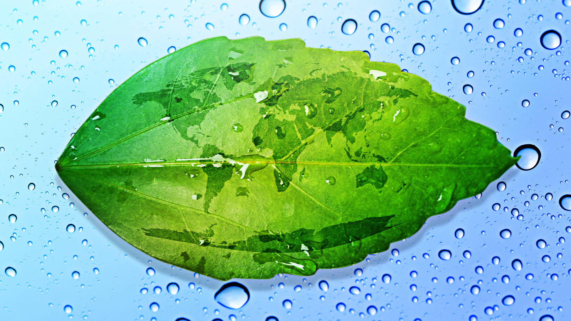 Green Leaf Raindrops Background Wallpaper
