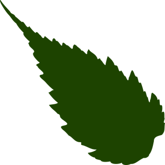 Green Leaf Silhouette PNG