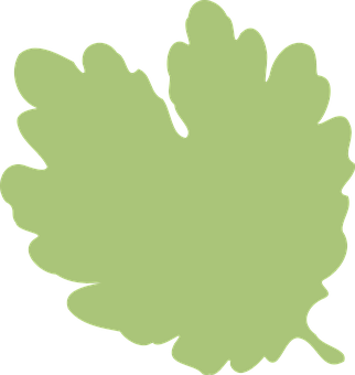 Green Leaf Silhouette Graphic PNG