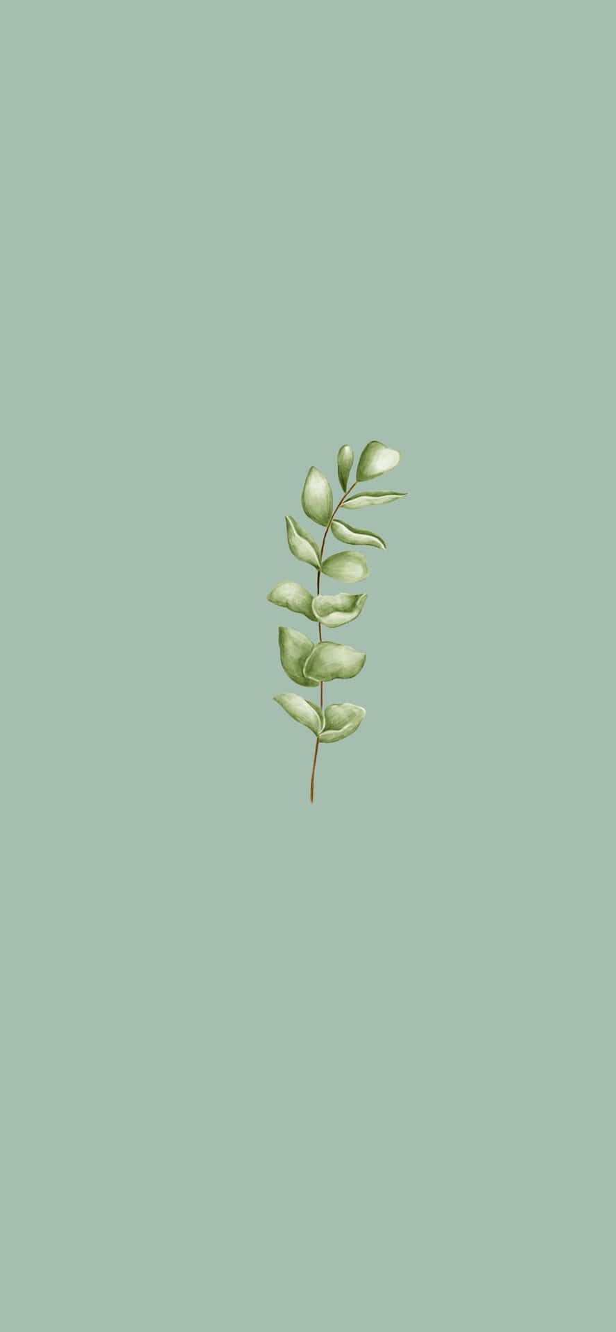 Green Leaf Sprig Simple Background.jpg Wallpaper