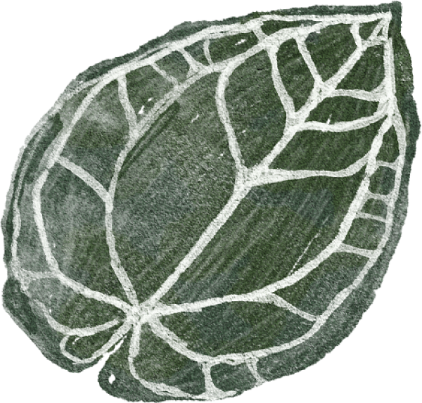 Green Leaf Texture Illustration PNG