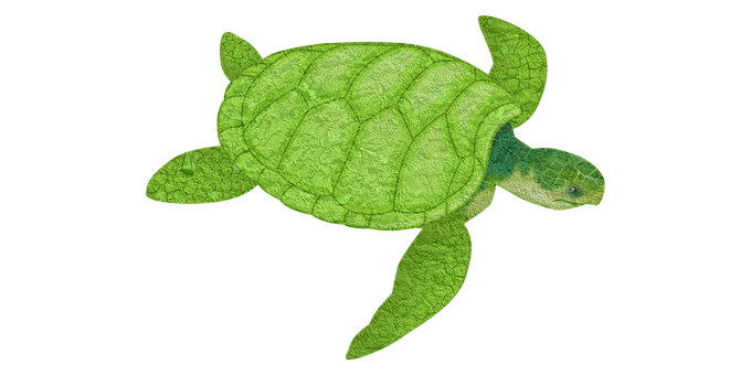Green Leaf Texture Sea Turtle PNG