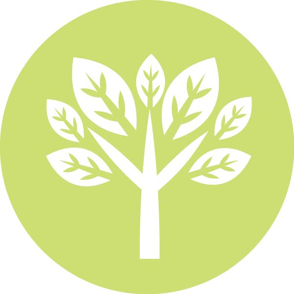 Green Leaf Tree Icon PNG