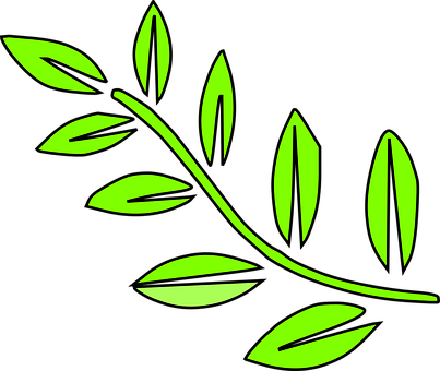 Green Leaf Vector Art PNG