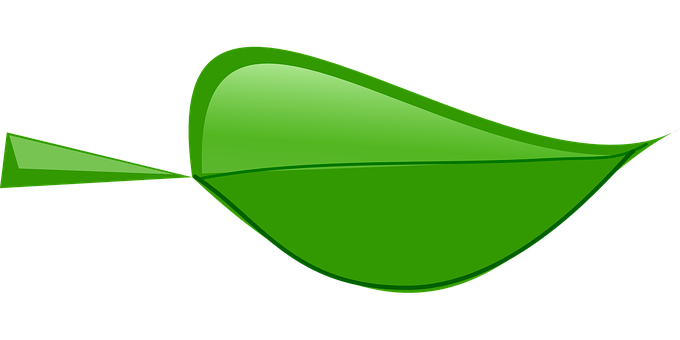 Green Leaf Vector Art PNG