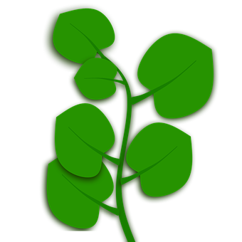 Green Leaf Vector Arton Black Background PNG