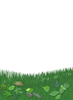 Green Leafy Border Design PNG