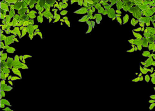 Green Leafy Frame Background PNG