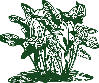 Green Leafy Plant Illustration PNG