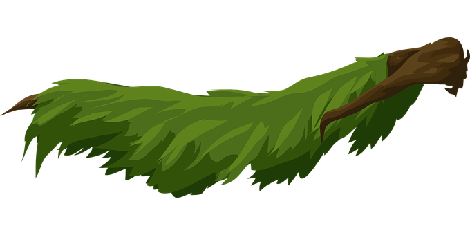 Green Leafy Tree Branch Illustration PNG