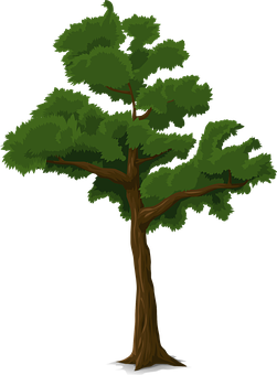 Green Leafy Tree Illustration PNG