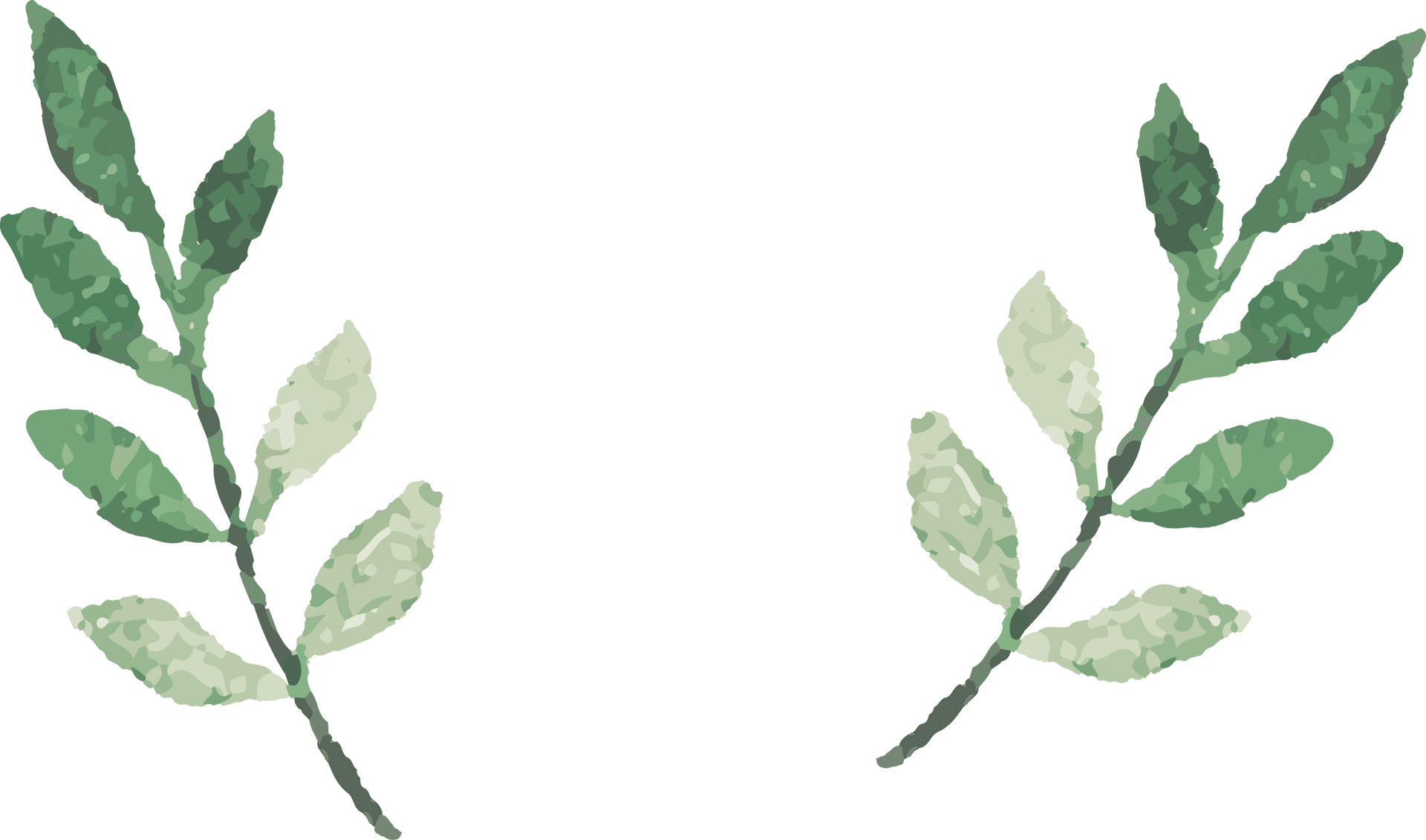 Green Leafy Twigs Illustration PNG