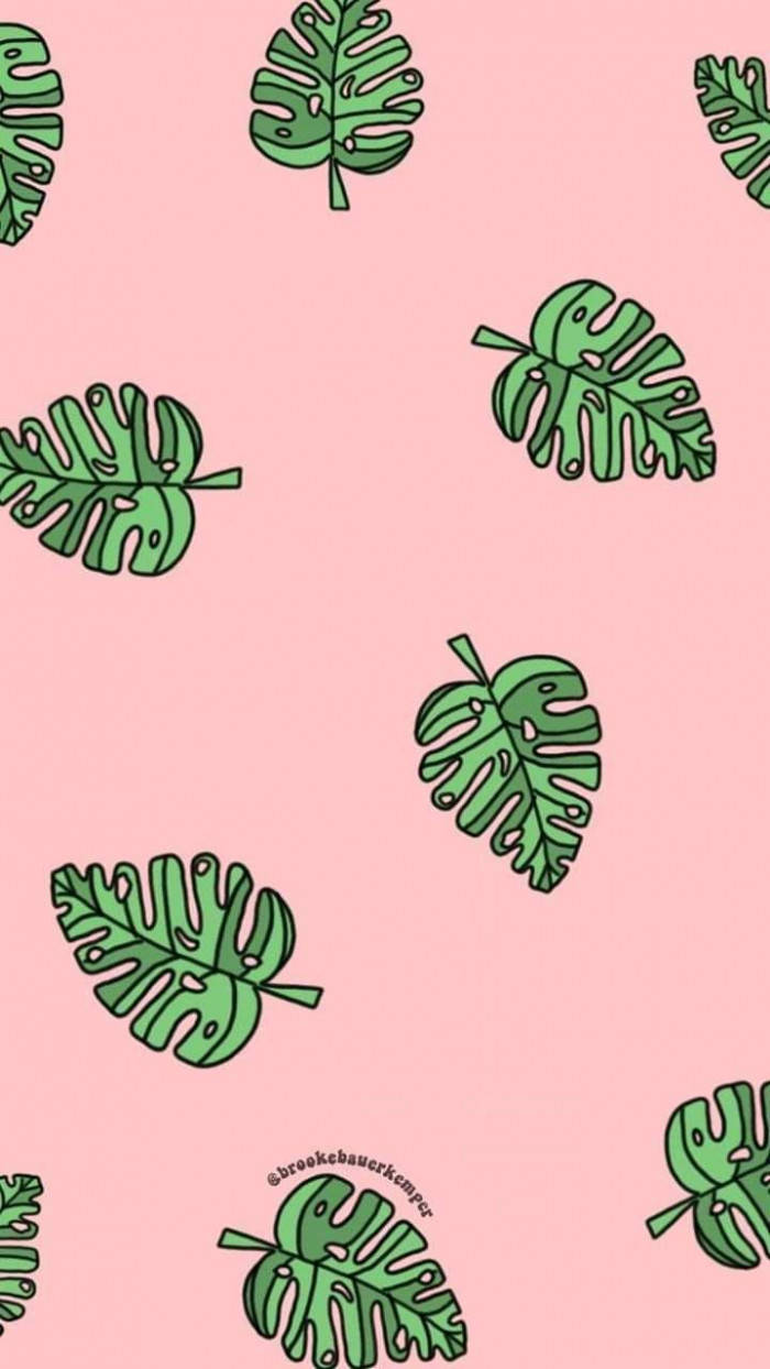 Green Leaves Aesthetic And Pink Backdrop Wallpaper