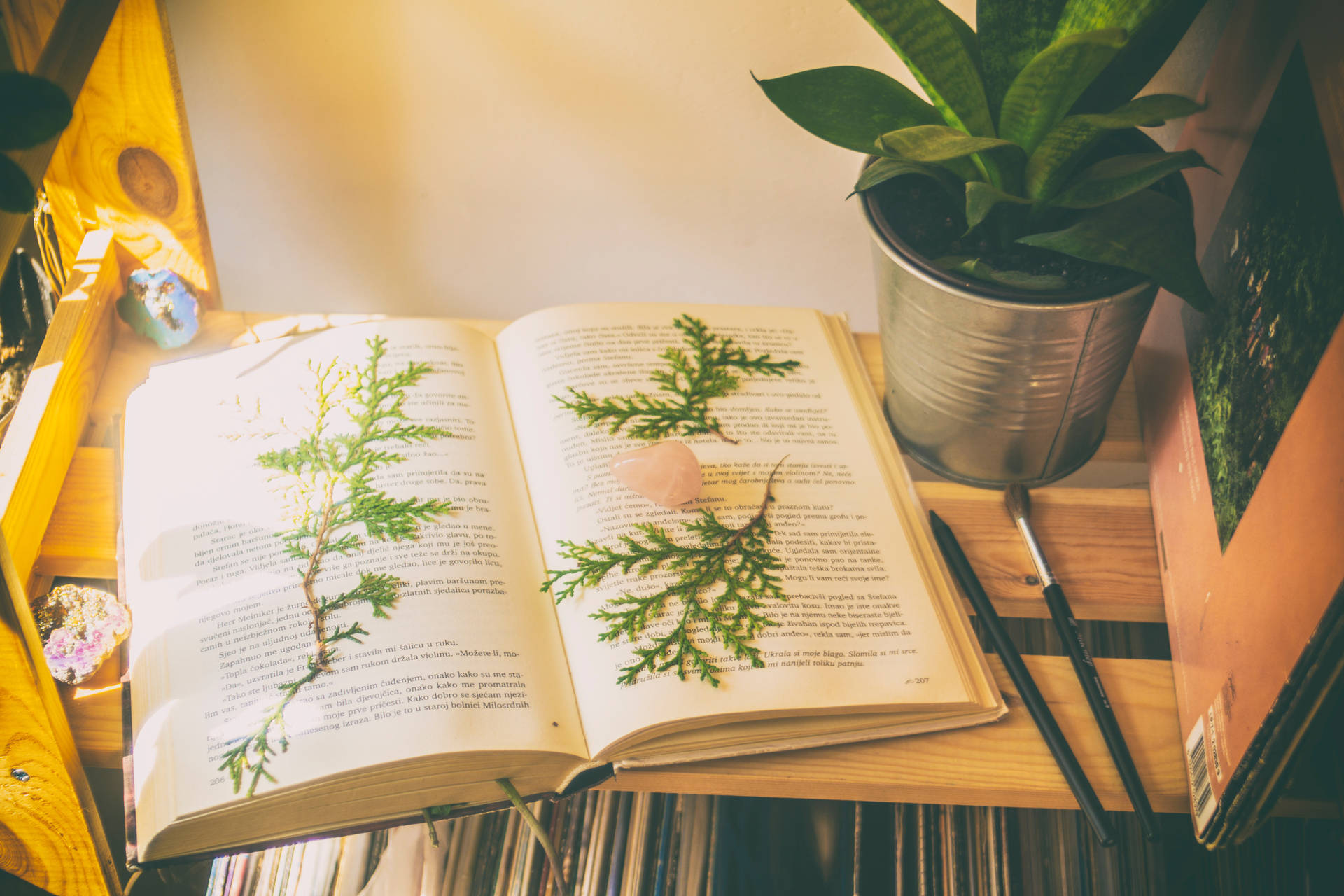 Green Leaves Aesthetic Book Desktop Wallpaper